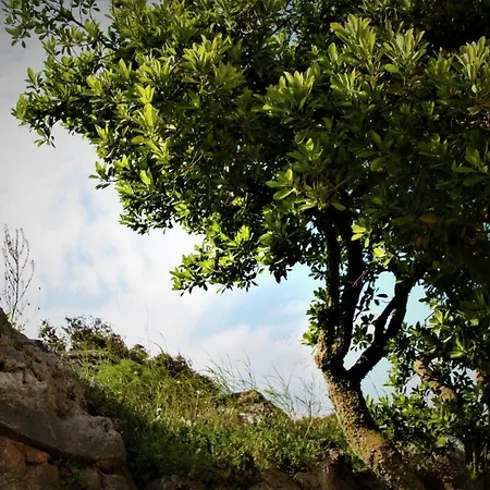 Volari House Tatil Evi